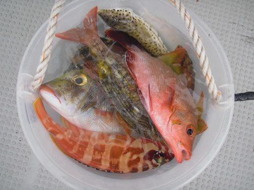 ゲストハウス備瀬の海 ภายนอก รูปภาพ